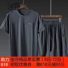 洋客（YANGKE） 短袖 男士T恤 ZLJ9136灰色Z11 