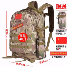戰(zhàn)術(shù)迷彩叢林
