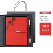 真皮本日記