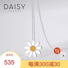 925項(xiàng)鏈 小雛菊