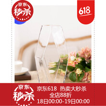 北歐風(fēng)花瓶，打造精致生活的藝術(shù)