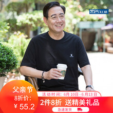 雷迪倫（leidilun） 短袖 男士T恤 黑色 