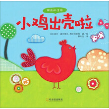 小雞