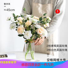 創(chuàng)意唯美花瓶，讓你愛上家生活