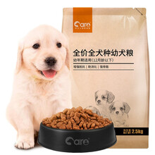 寵物邊牧