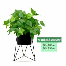 花卉布置