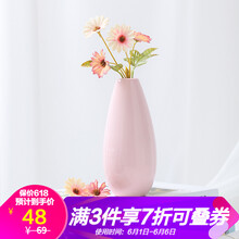精美創(chuàng)意花瓶，打造浪漫田園風(fēng)