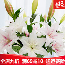 精美玻璃花瓶，營造浪漫生活