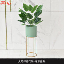 的藝術，精美花瓶讓你愛上生活