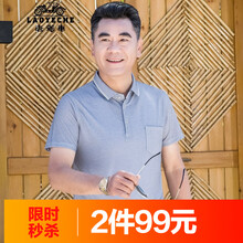 老爺車(chē)（LAOYECHE） 短袖 男士T恤 8128灰色 