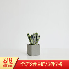 精致花瓶，讓生活變得更浪漫