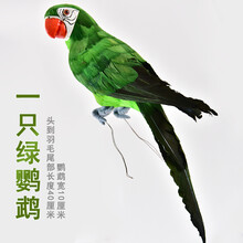 精致仿真花，讓客廳變得更溫馨