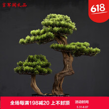 創(chuàng)意隔斷擺件，讓生活不再單調(diào)