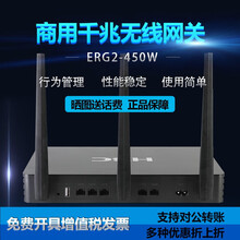 華三ERG2-450W