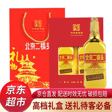 永豐牌46度375mL-500mL，500ml*2 清香型，清香