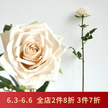 創(chuàng)意玻璃花瓶，讓你的家更浪漫