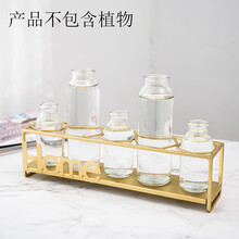 創(chuàng  )意玻璃魚(yú)缸，讓生活變得更溫馨