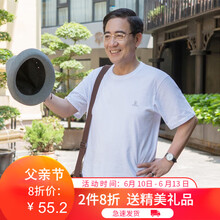 雷迪倫（leidilun） 短袖 男士T恤 白色 