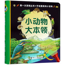 大手電筒