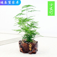 田園風(fēng)花瓶，營造浪漫家居生活