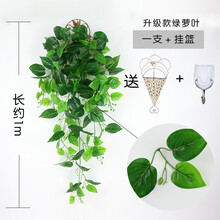 高顏值精致花瓶，讓生活不再單調(diào)