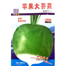 森山杏菜种子