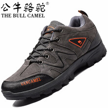 公牛駱駝（THE BULL CAMEL）男士PT2129灰色 41