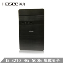 神舟新瑞E20