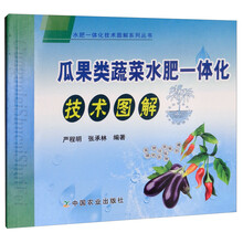 瓜果蔬菜