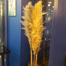 精美的創(chuàng)意擺件，讓生活更有情調(diào)