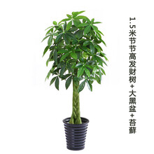 仿真樹客廳