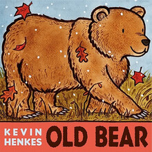 bear