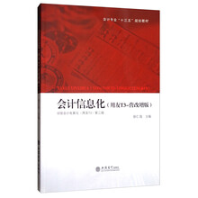 會計(jì)信息化