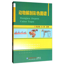 解剖圖譜