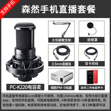 得勝（TAKSTAR）  懸掛式 麥克風(fēng) K220+森然播吧二代電音版手機直播套裝