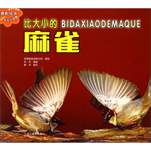 比大小