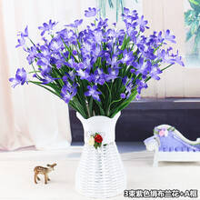 蘭花紫色