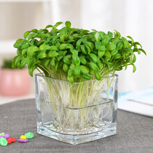 歐式田園風(fēng)，營(yíng)造浪漫小資情調