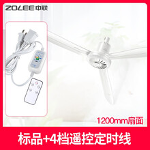 中聯(lián)（ZOLEE） FG11-120 電風扇