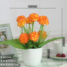 怎么樣,繡球,繡球,花花束,花花束