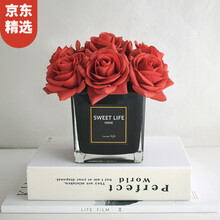 時(shí)尚花瓶，讓你的家愛(ài)上喝水
