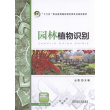 十三五