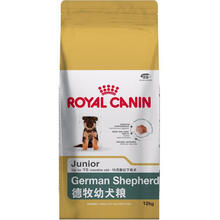 德國(guó)黑背牧羊犬