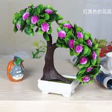 �ϻ�,�ϻ�,��ƿ,����,���а�,����,����,��ƿ,�Ƽ�