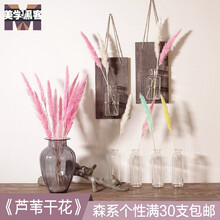 美學(xué)黑客家裝軟飾