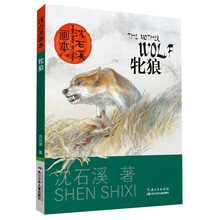 沈石溪畫本