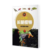 模特