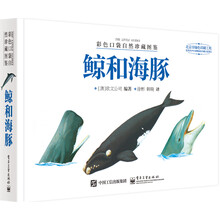 口袋