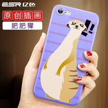 ESR保護膜