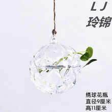 怎么樣,繡球,水繡球